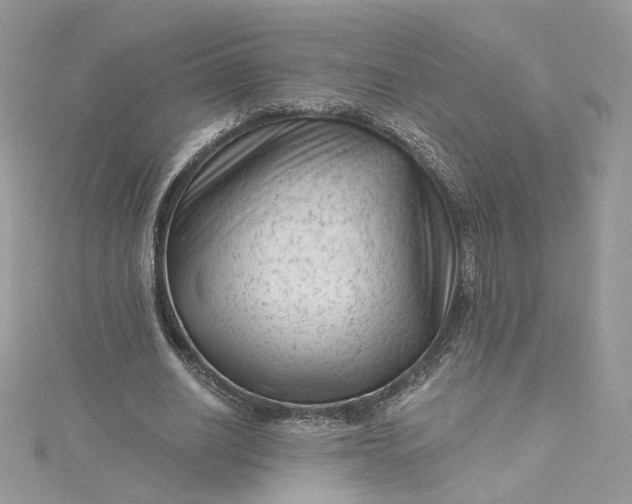 X0000115380630200911171436