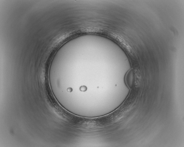 X0000115380631200911171436