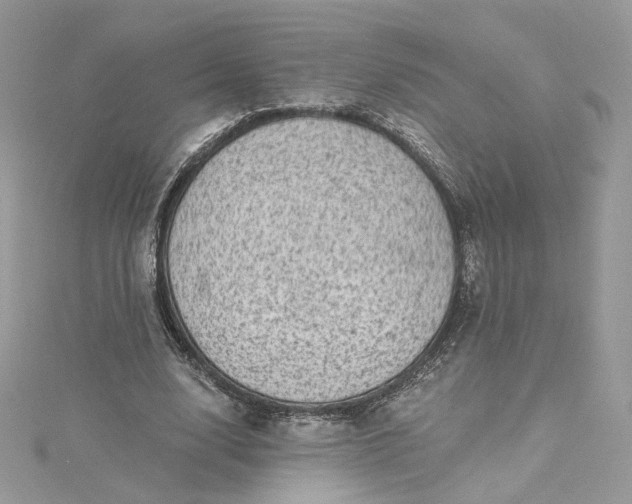 X0000115380632200911171436