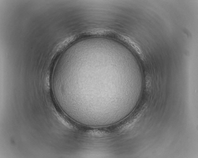 X0000115380633200911171436