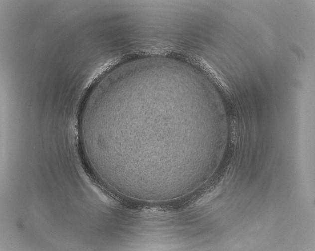 X0000115380634200911171436