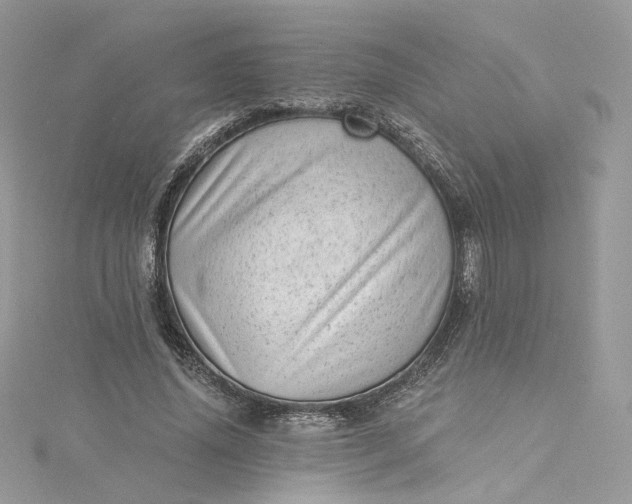 X0000115380636200911171436