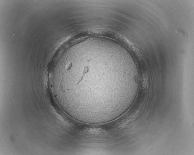 X0000115380637200911171436