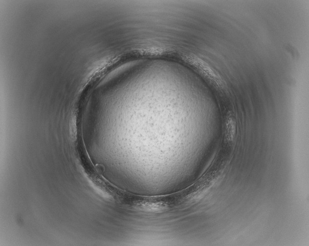 X0000115380638200911171436