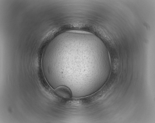 X0000115380639200911171436