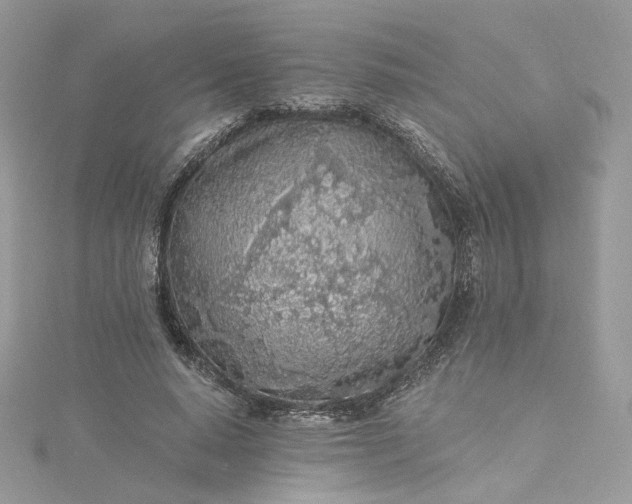 X0000115380640200911171436