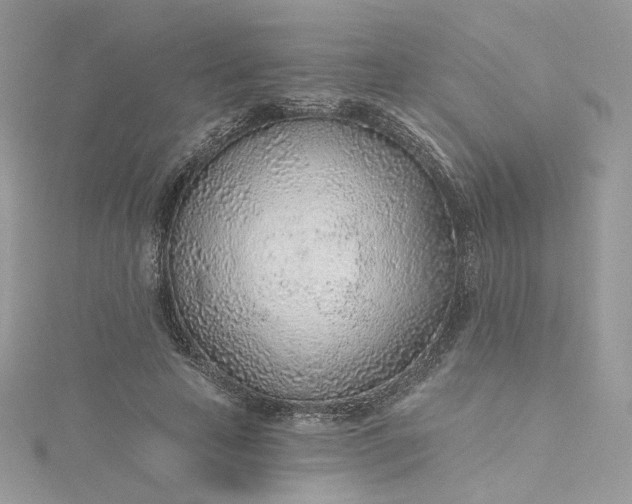 X0000115380641200911171436