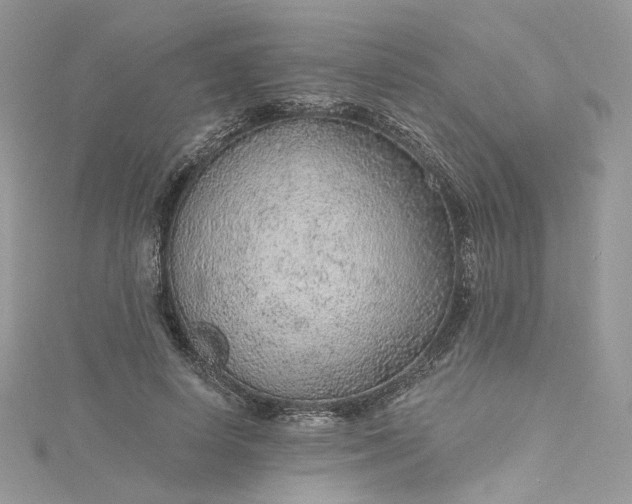 X0000115380642200911171436