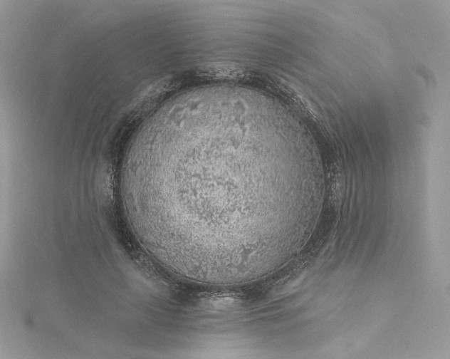 X0000115380643200911171436