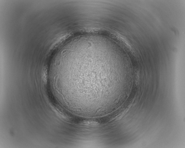 X0000115380644200911171436