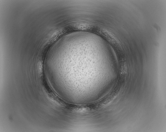 X0000115380646200911171436