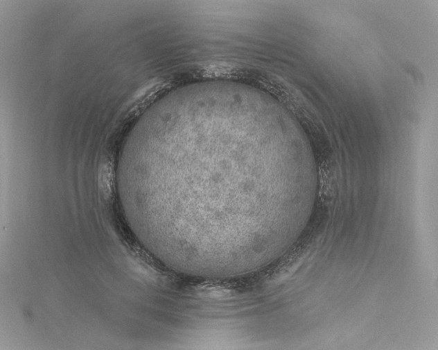 X0000115380648200911171436