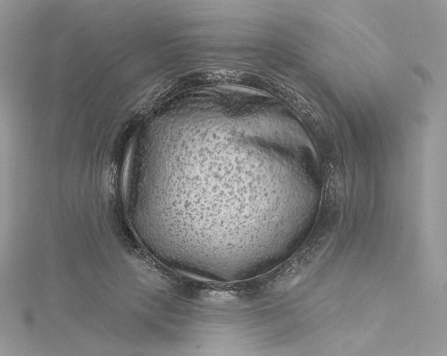 X0000115380649200911171436