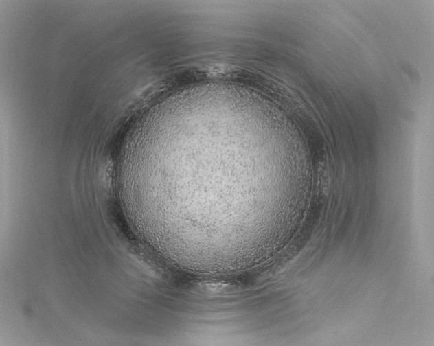 X0000115380650200911171436