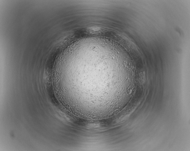 X0000115380653200911171436