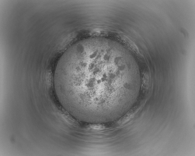 X0000115380659200911171436