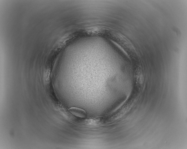 X0000115380660200911171436