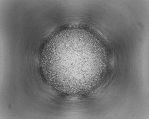 X0000115380661200911171436