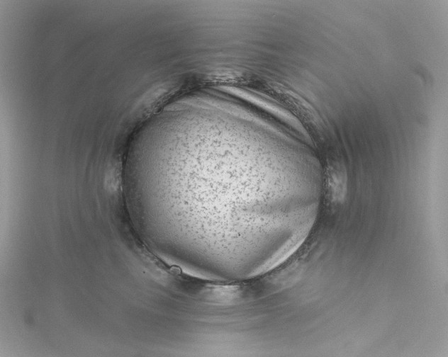 X0000115380665200911171436