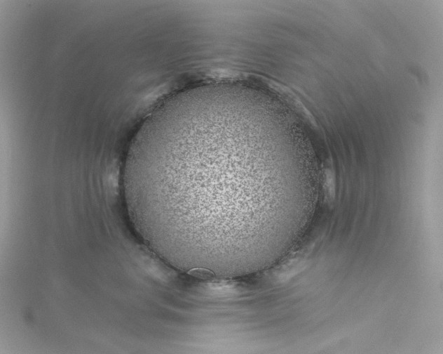 X0000115380668200911171436