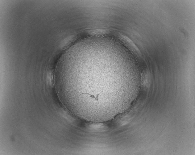 X0000115380669200911171436