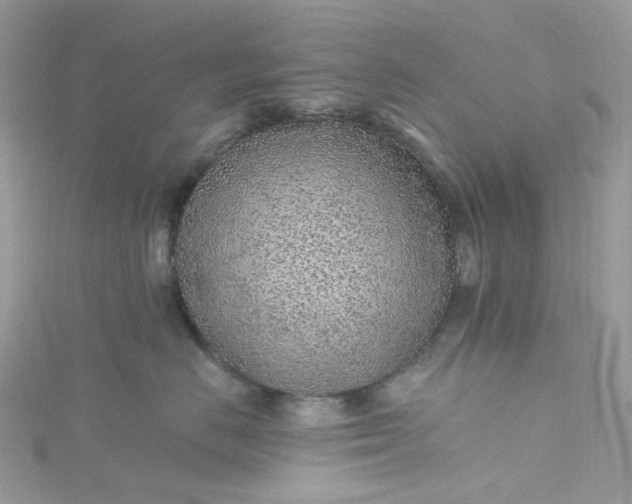 X0000115380670200911171436