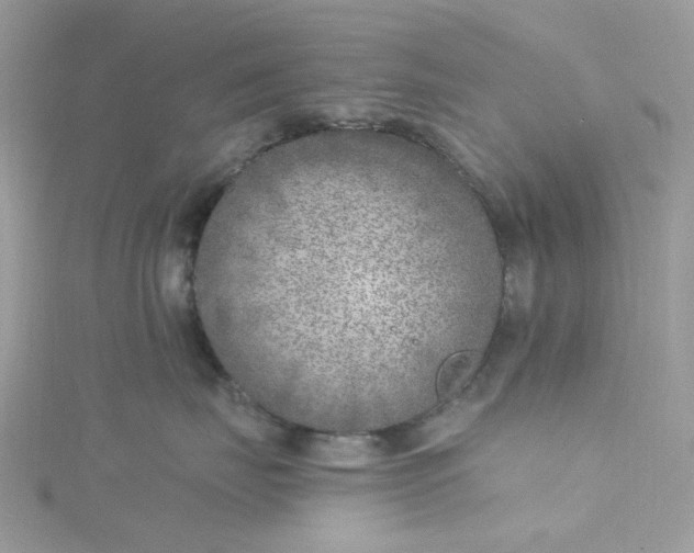 X0000115380671200911171436