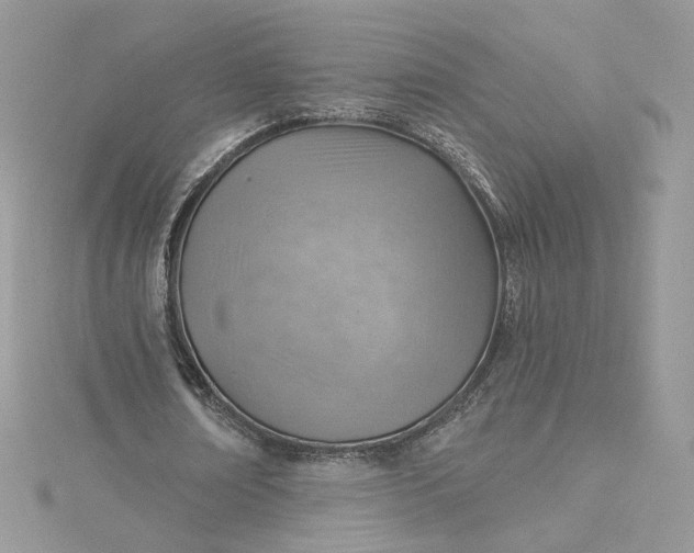 X0000115380674200911171436