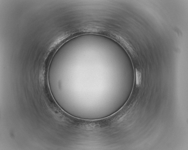 X0000115380675200911171436