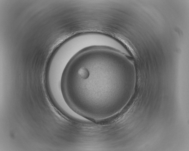 X0000115380677200911171436