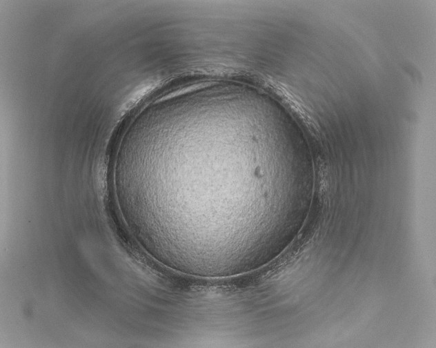 X0000115380679200911171436