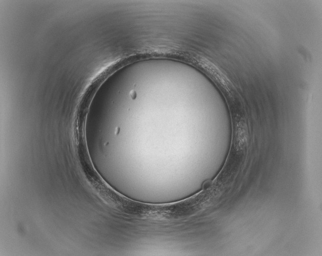 X0000115380680200911171436