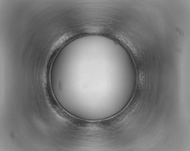 X0000115380682200911171436