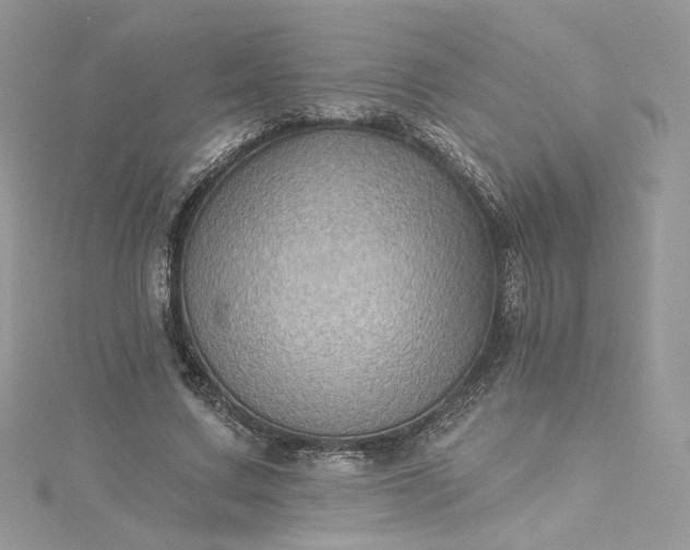 X0000115380683200911171436