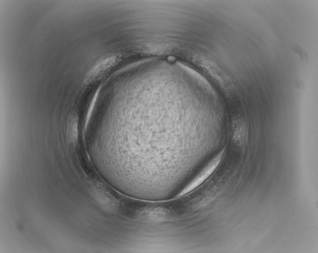 X0000115380685200911171435