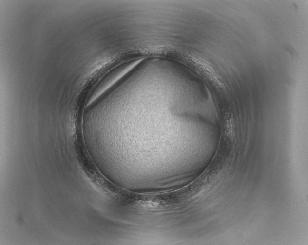 X0000115380687200911171435