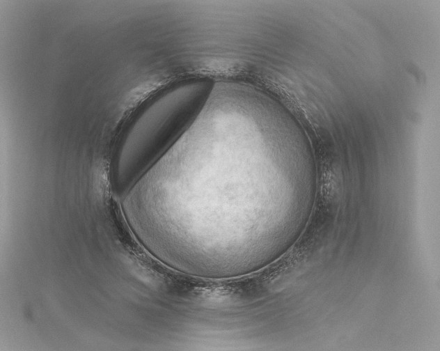 X0000115380688200911171435