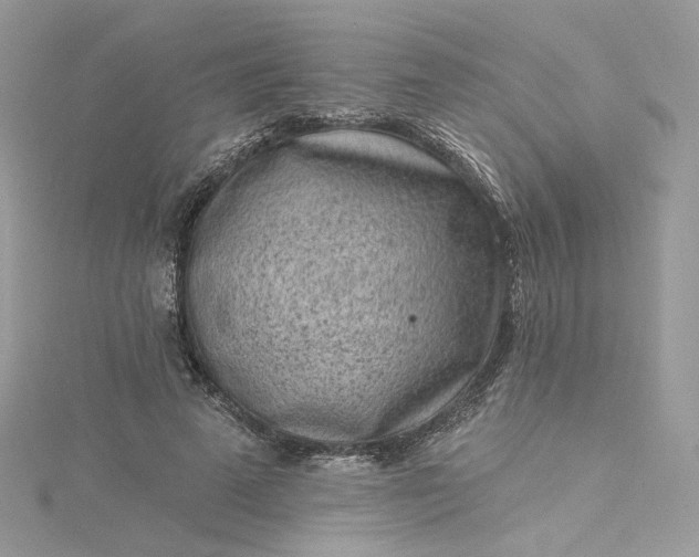 X0000115380689200911171435