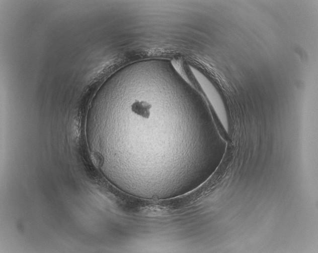 X0000115380691200911171435