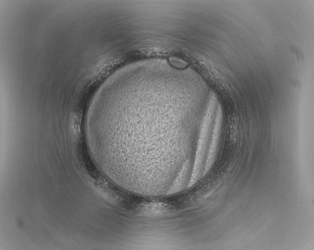 X0000115380695200911171435