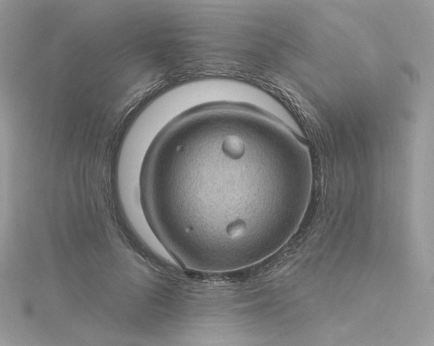 X0000115380696200911171435