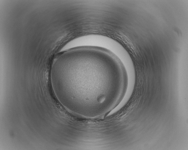 X0000115380697200911171435