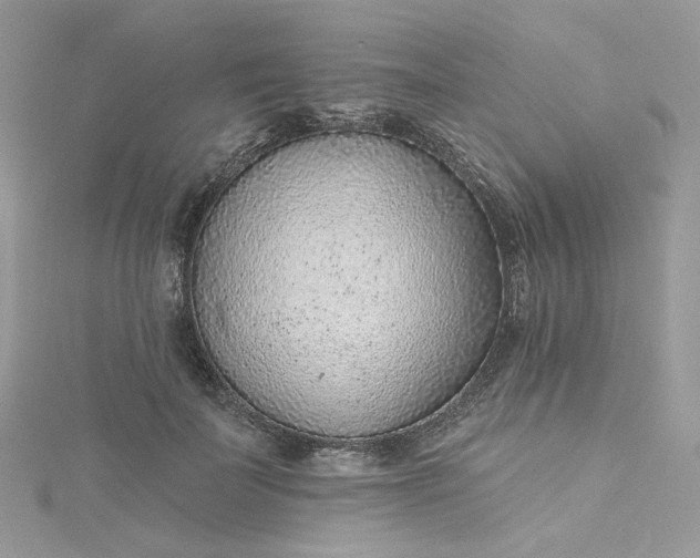 X0000115380699200911171435