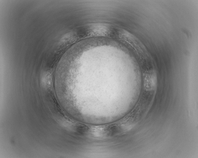 X0000115380701200911171435