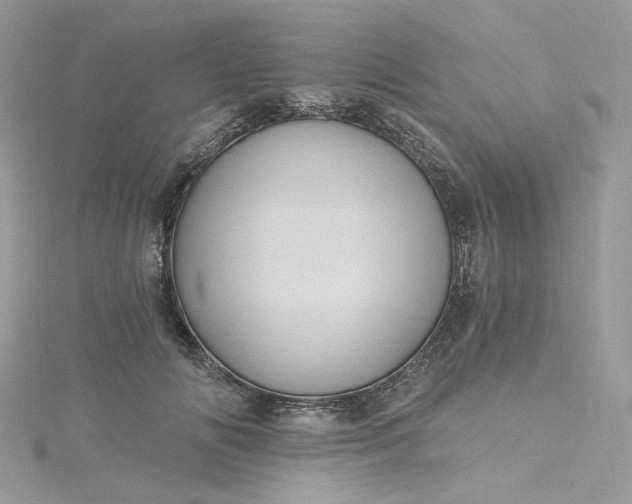 X0000115380702200911171435