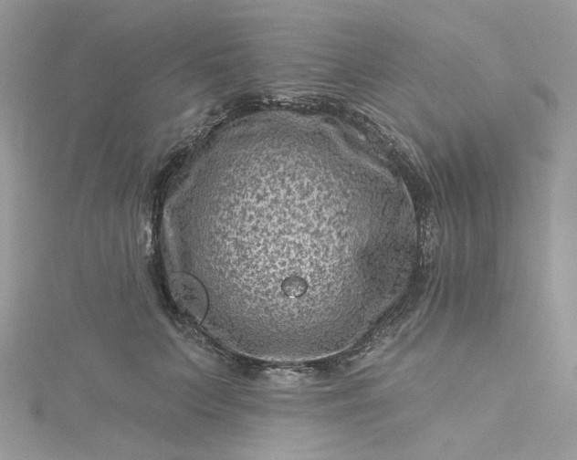 X0000115380703200911171435