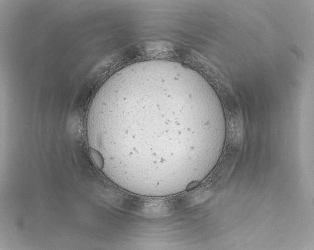 X0000115380705200911171435