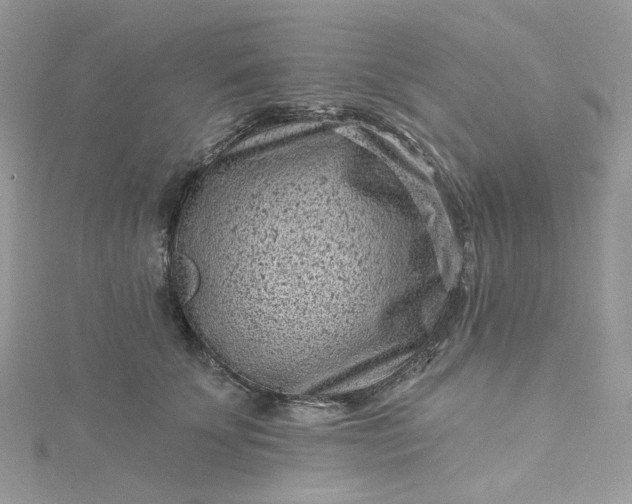 X0000115380707200911171435