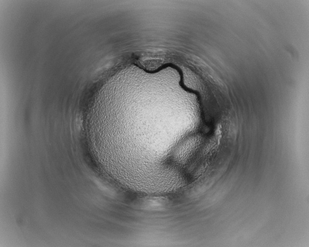 X0000115380711200911171435