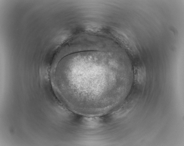 X0000115380712200911171435